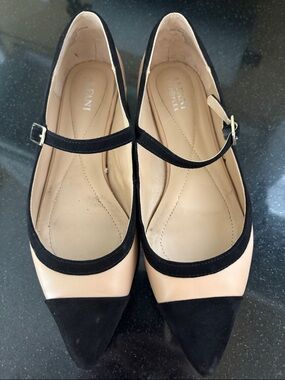Alfani Black and Nude Pointed Mary Jane Flats with Strap